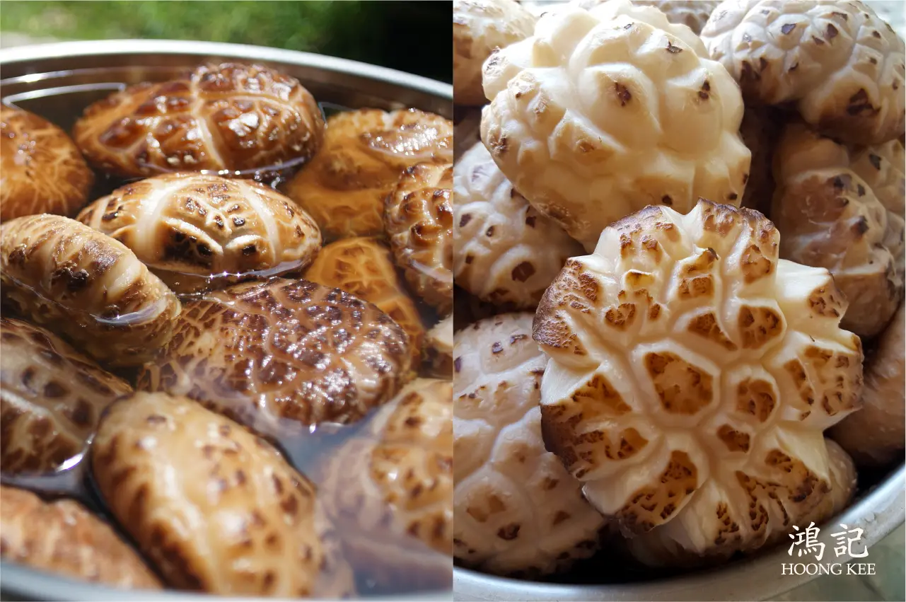 Dried mushrooms prepared for traditional Chinese cooking
